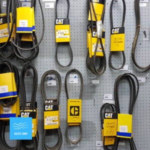 Cinghie per motorizzazione CAT