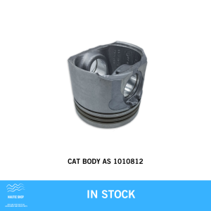 CAT BODY AS 1010812