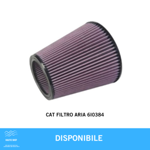 CAT FILTRO ARIA 6I0384