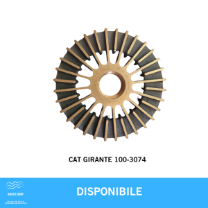 CAT GIRANTE 100-3074
