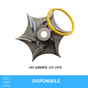CAT GIRANTE 137-1970