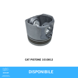 CAT PISTONE 1010812