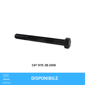 CAT VITE 2B-2006