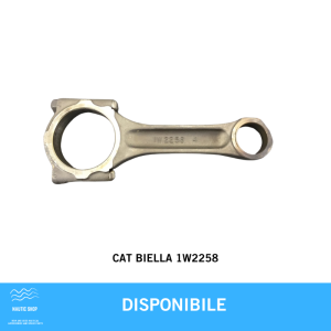 CAT BIELLA 1W2258