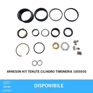 ARNESON KIT TENUTE CILINDRO TIMONERIA 1005930