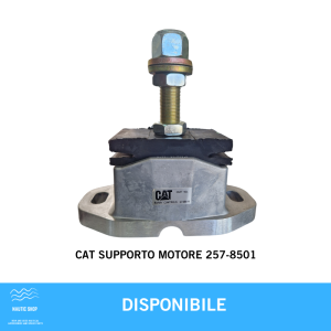 CAT SUPPORTO MOTORE 257-8501