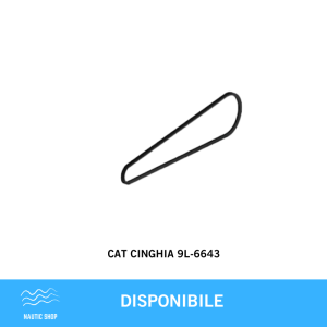CAT CINGHIA 9L-6643