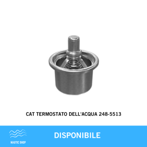 CAT TERMOSTATO DELL'ACQUA 248-5513