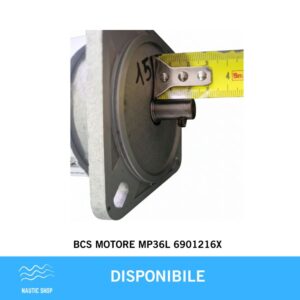 BCS MOTORE MP36L 6901216X MISURE